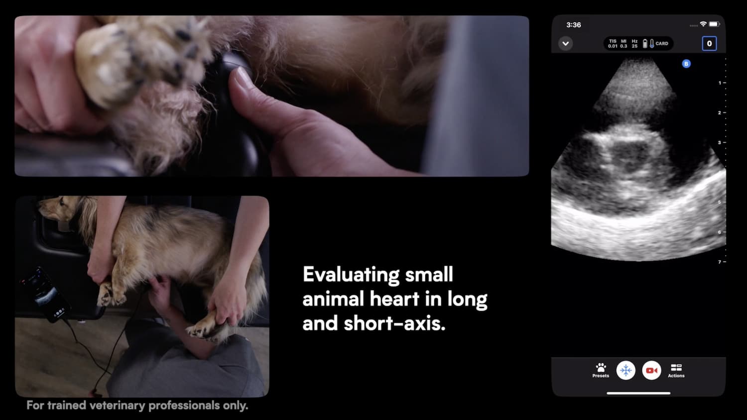 VET Butterfly Network